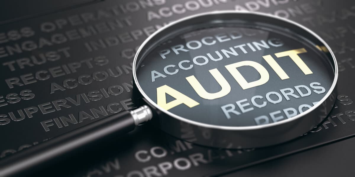 Audit Fee Report Image